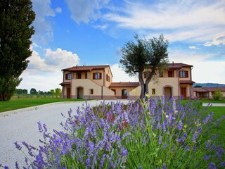 Villa Santa Maria degli Angeli (Assisi) Grabación al aire libre 4