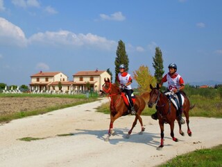 Villa Santa Maria degli Angeli (Assisi) Entorno 27