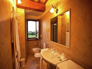 Villa Santa Maria degli Angeli (Assisi) Caratteristiche 20