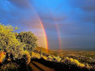 Villa Santa Maria degli Angeli (Assisi) Environnement 27