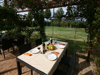 Vakantiehuis Montefalco  27