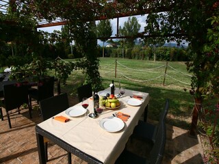 Holiday house Montefalco  29