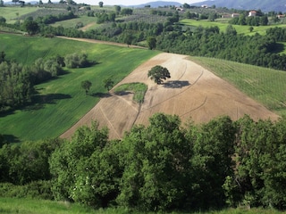 Castle Collazzone Environment 30