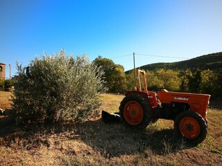 Castillo Collazzone  37