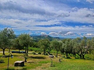 Type de propriété : Ferme Todi Environnement 40
