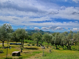 Boerderij Todi Omgeving 40