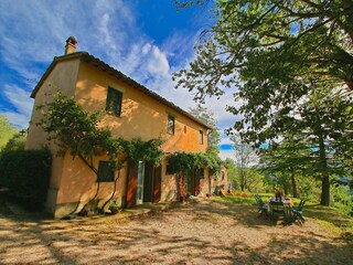Boerderij Todi Buitenaudio-opname 10