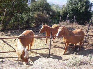 Casa de vacaciones Paciano Entorno 36