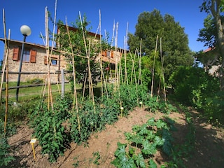 Bauernhof Paciano  38