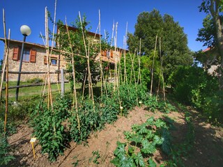 Farmhouse Paciano  36
