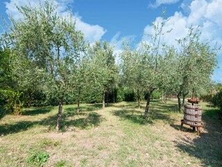 Boerderij Panicarola Omgeving 31