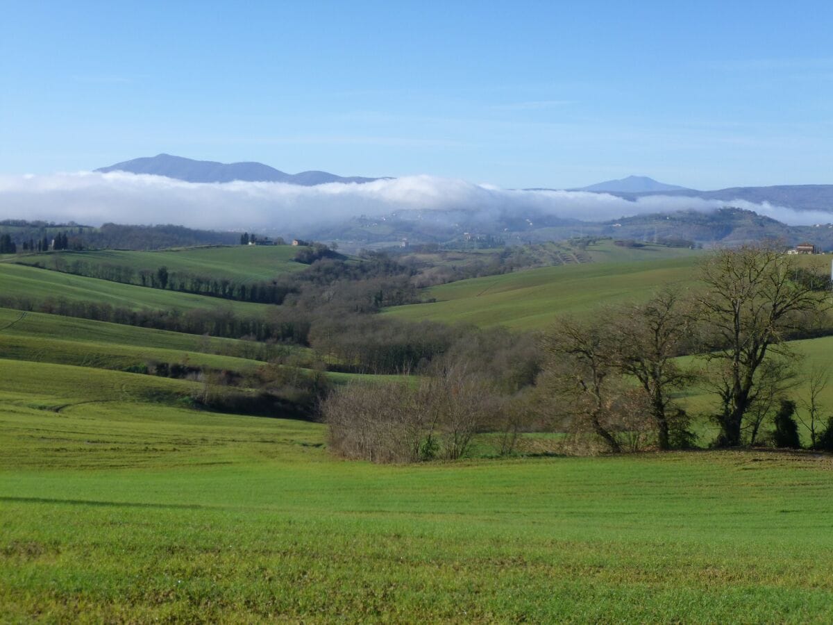 Bauernhof Paciano Umgebung 36