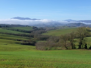 Type de propriété : Ferme Paciano Environnement 37