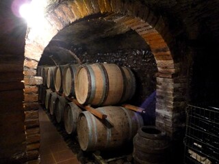 Bauernhof Paciano Umgebung 37