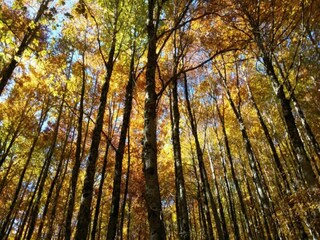 Farmhouse Paciano Environment 34