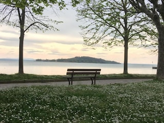 Holiday cottage Magione Environment 29