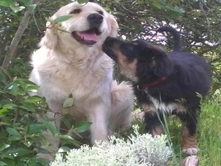 Vakantiehuisje Magione  39