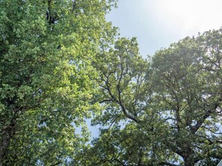 Maison de vacances Magione Environnement 38