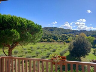 Type de propriété : Chalet Magione Environnement 36