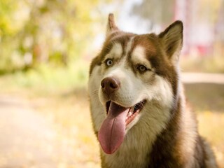 Vakantiehuisje Magione  38