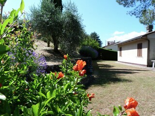 Ferienhaus Magione Außenaufnahme 6
