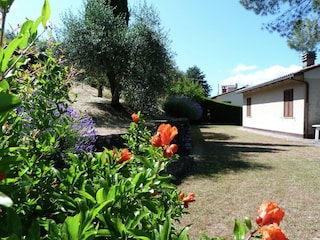 Ferienhaus Magione Außenaufnahme 8