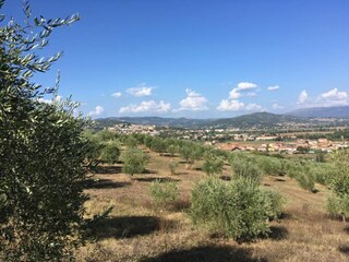 Holiday cottage Corciano Environment 34