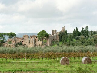 Holiday cottage Corciano Environment 35