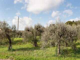 Cottage Magione Outdoor Recording 11