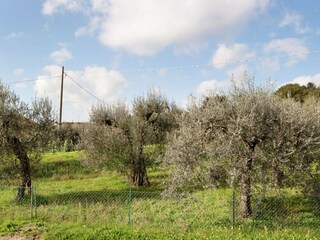 Cottage Magione Outdoor Recording 13