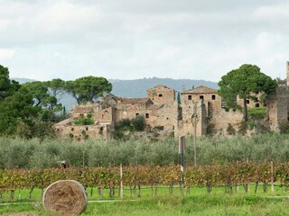 Cottage Magione Environment 34