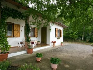 Casa per le vacanze Squisita casa vacanze con giardino recintato in Umbria - Agello - image1