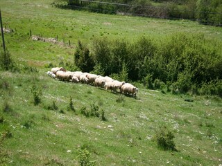 Bauernhof Passignano sul Trasimeno Außenaufnahme 15