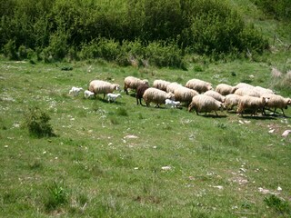 Bauernhof Passignano sul Trasimeno Außenaufnahme 16