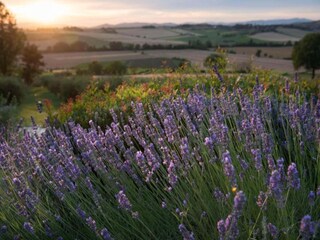 Casa per le vacanze Tavernelle Ambiente 31