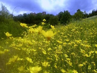 Maison de vacances Tavernelle Environnement 32