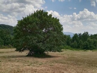 Casa per le vacanze Tavernelle Ambiente 37