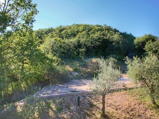 Maison de vacances Santa Maria degli Angeli (Assisi) Environnement 38