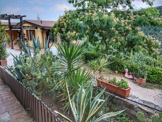 Casa de vacaciones Bettona Grabación al aire libre 8