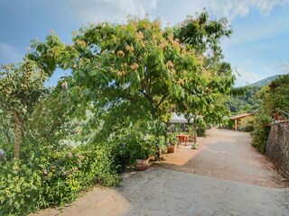 Holiday cottage Bettona Outdoor Recording 10