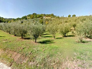 Cottage Bettona Umgebung 34