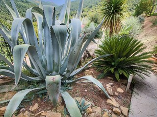 Maison de vacances Bettona  38