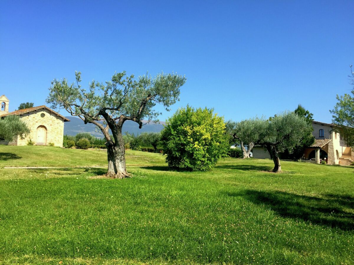 Landhaus Santa Maria degli Angeli (Assisi) Außenaufnahme 5