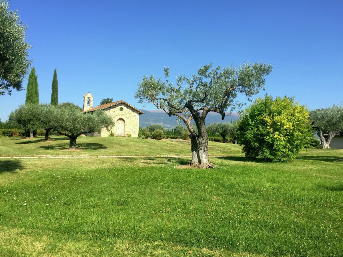 Landhaus Santa Maria degli Angeli (Assisi) Außenaufnahme 10