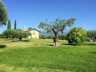 Landhaus Santa Maria degli Angeli (Assisi) Außenaufnahme 13