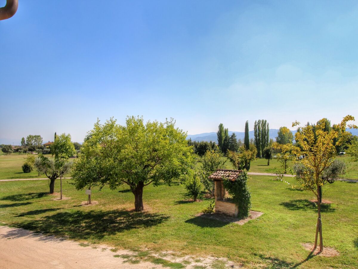 Landhaus Santa Maria degli Angeli (Assisi) Außenaufnahme 15