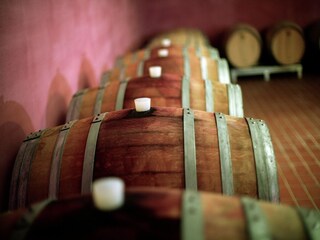 Type de propriété : Chalet Santa Maria degli Angeli (Assisi) Environnement 34