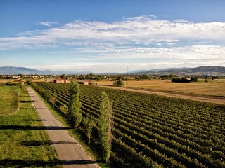 Casale Santa Maria degli Angeli (Assisi) Ambiente 37
