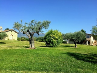 Cottage Santa Maria degli Angeli (Assisi) Outdoor Recording 9