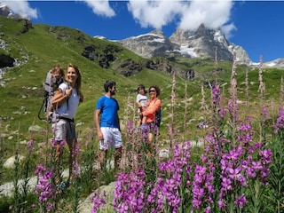 Chalet Antey Saint André Omgeving 24